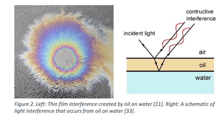  Figure 2. Left: Thin film interference created by oil on water [11]. Right: A schematic of light interference that occurs from oil on water [33].