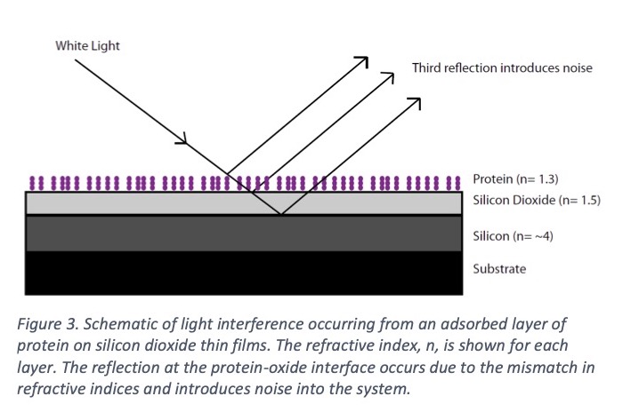  Figure 3. Schematic of light interference occurring from an adsorbed layer of protein on silicon dioxide thin films. The refractive index, n, is shown for each layer. The reflection at the protein-oxide interface occurs due to the mismatch in refractive indices and introduces noise into the system.