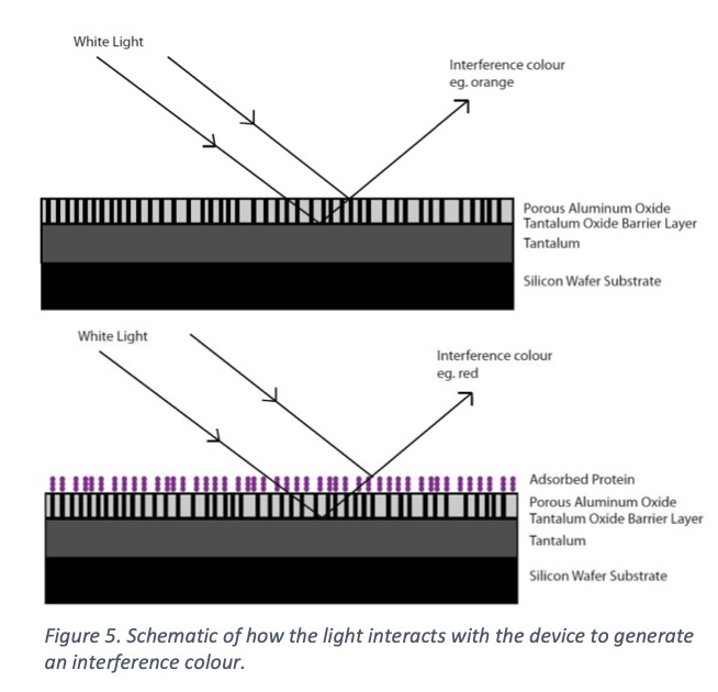  Figure 5. Schematic of how the light interacts with the device to generate an interference colour.