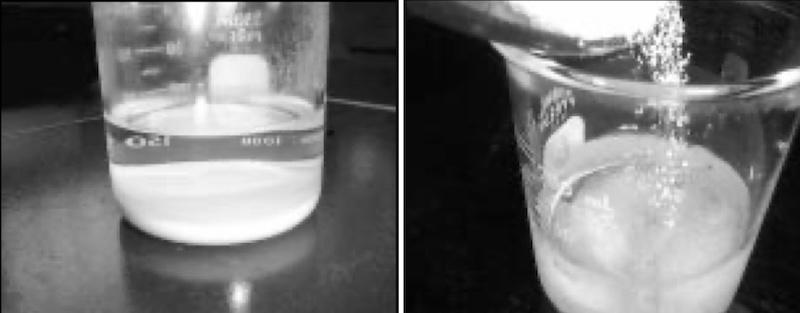 Fig. 1âPrecipitated carbonate; Fig. 2âPowdered barium nitrate added to the solution produces barium carbonate sludge.