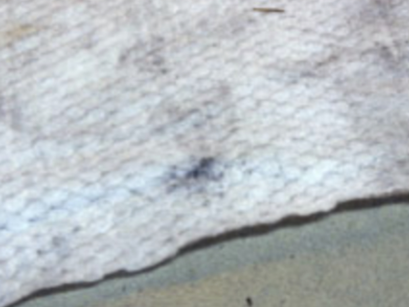 A good example of a positive wipe test for smut.