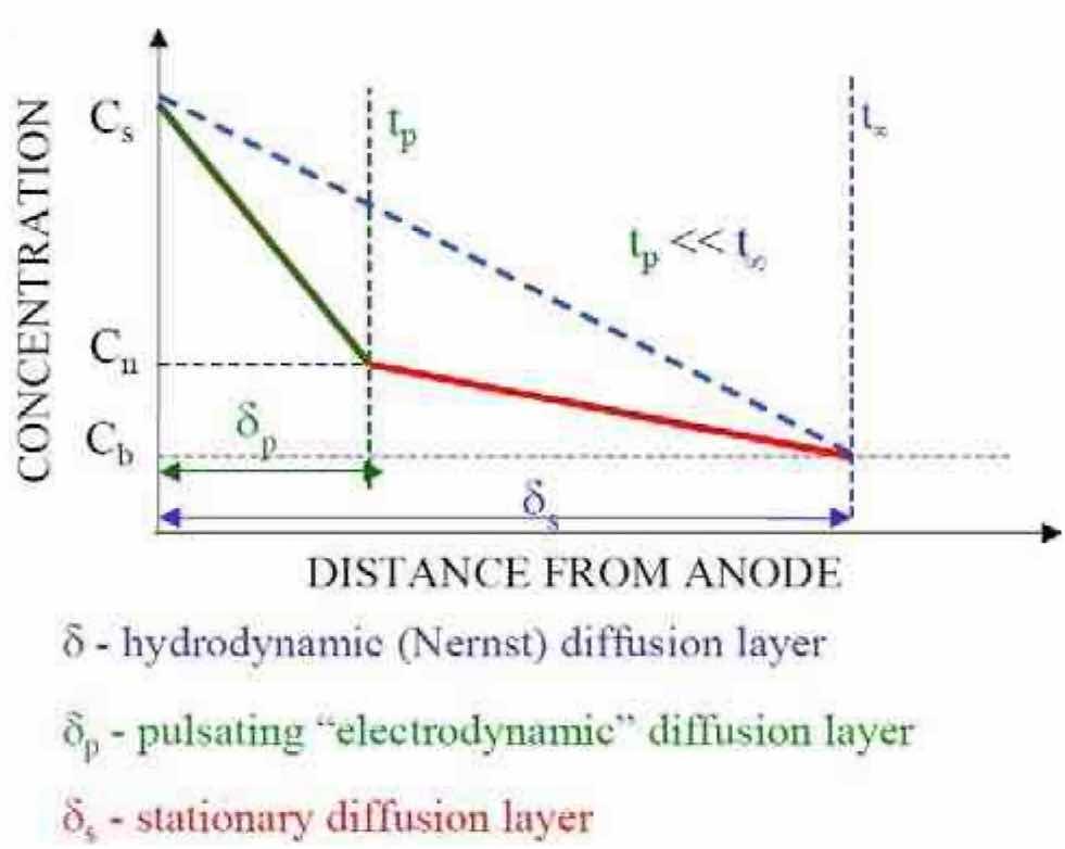 Figure 2âSchematic representation of the duplex diffusion layer.