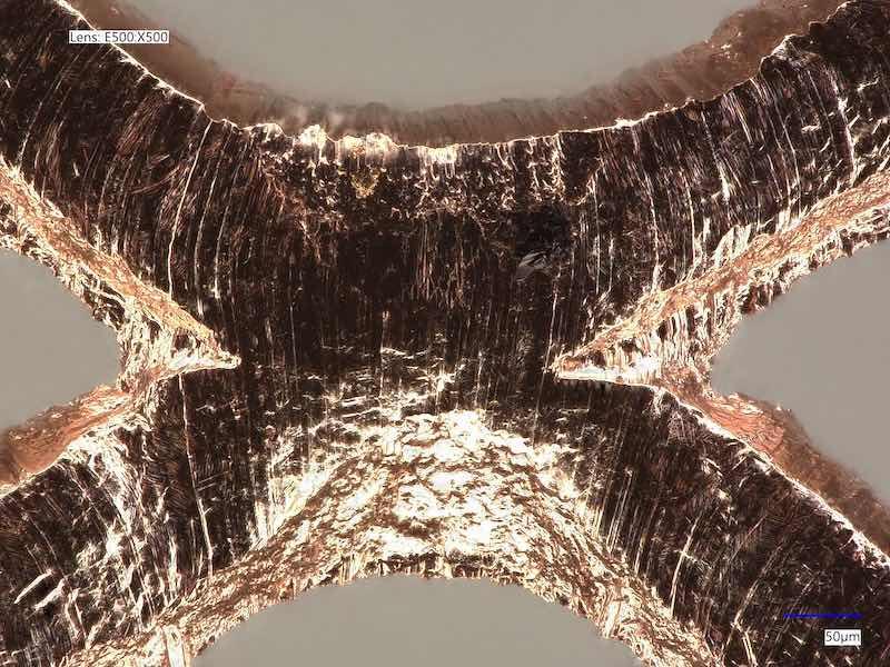 microscopic look at mesh