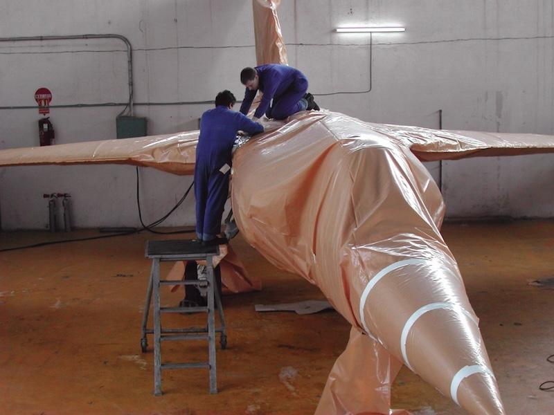 plane being coated