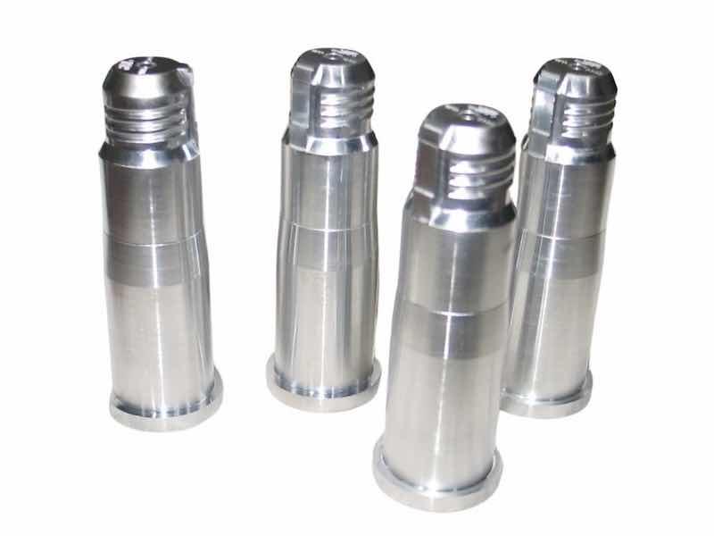 Mold Cores 2024.c
