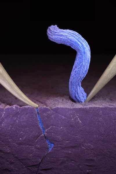 This artistâs rendition shows one probe bending from applied pressure, causing a fracture in the solid electrolyte, which is filling with lithium. On the right, the probe is not pressing against the electrolyte and the lithium plates on the ceramic surface, as desired. (Image credit: Cube3D)