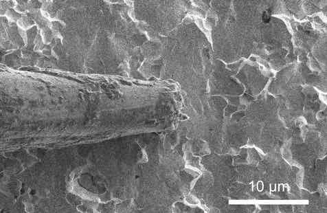 A scanning electron microscopy video shows lithium plating as it takes place on a solid electrolyte. (Image credit: Xin Xu, Geoff McConohy, and Wenfang Shi)