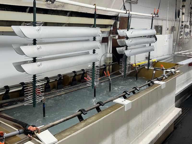 Plateronics tank size generally average around 100 to 300 gallons.