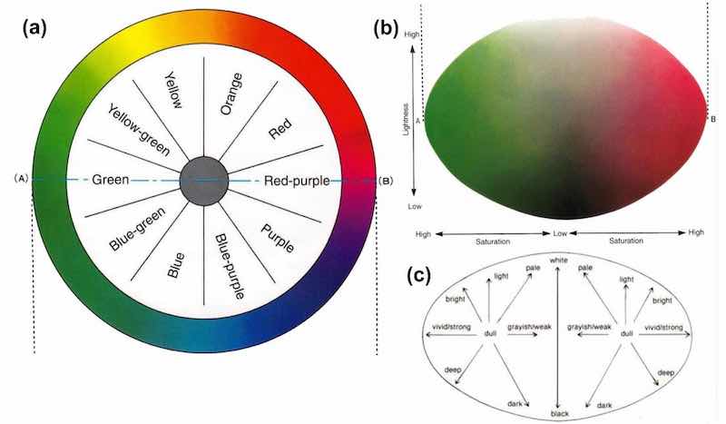 Figure 1 – Characterization of color properties: (a) color wheel; (b) changes in lightness and saturation for red-purple and green; (c) adjectives related to colors for lightness and saturation.