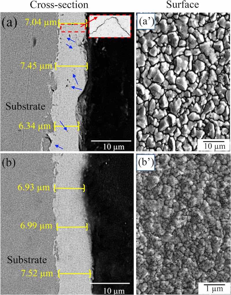 Fig. 1. SEM micrographs of the cross-sections and surfaces of (a, aÊ¹) a microstructured ZnNi coating, and (b, bÊ¹) a nanostructured ZnNi coating.