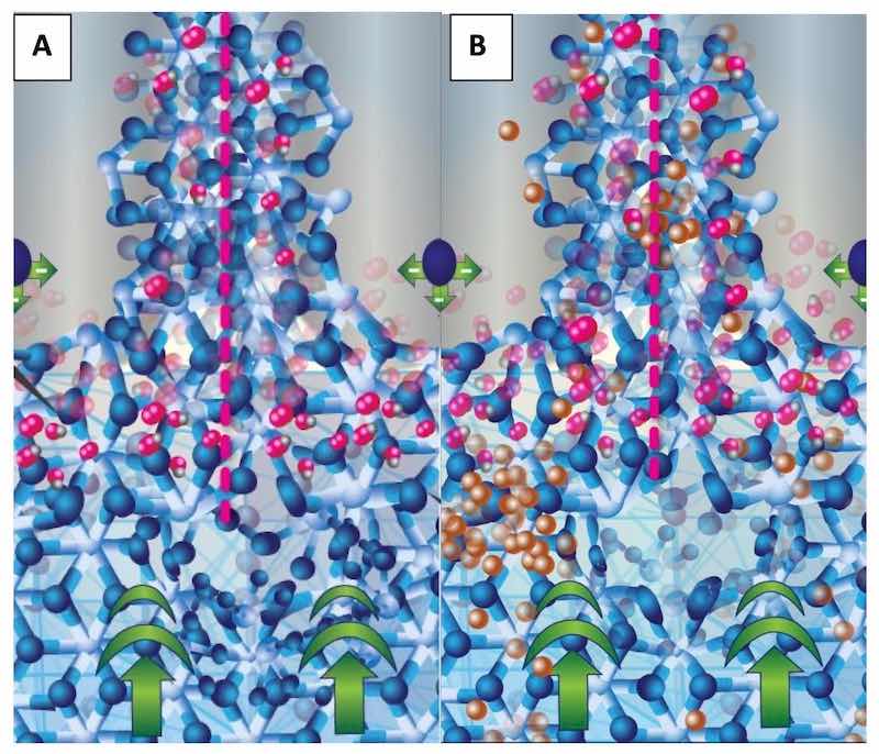 Figure 5: Schematic of the walls of the anodic oxide at the junction of three anodic oxide cells. An entire cell is bracketed with pink dotted lines; the central pore appears gray with repulsive forces represented by a single sphere. The fcc aluminum structure is at the bottom of the schematic with the current bias represented by bold green arrows. The forming bct structure (A and B) exhibits the primary oxidation reaction at the interface between the fcc and the electrolyte in the pore by the presence of oxygen atoms on the bct structure. Schematic B (right) shows non- aluminum ions (copper colored) diffusing from the fcc lattice, through the bct anodic oxide network, into the central pore where it will be carried into the electrolyte. Copper atoms “pile up” at the fcc-bct interface due to the structural/compositional mismatch between the aluminum and the anodic oxide.