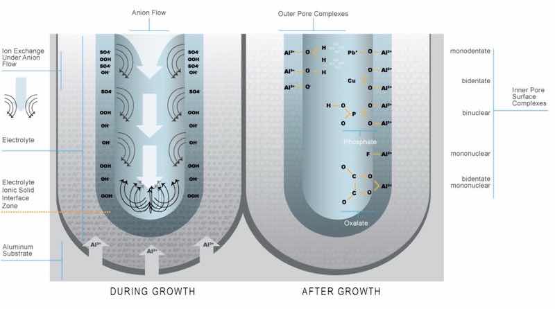 Figure 8A: As anodizing proceeds, the anion can be adsorbed on the surfaces exposed to the electrolyte.6 Figure 8B: The charged surface of the column wall provides adsorption sites for reactive species in the electrolyte such as modifiers and contaminants. These sites are also the critical adsorption sites for seals and other electroactive post-anodizing process treatments.7
