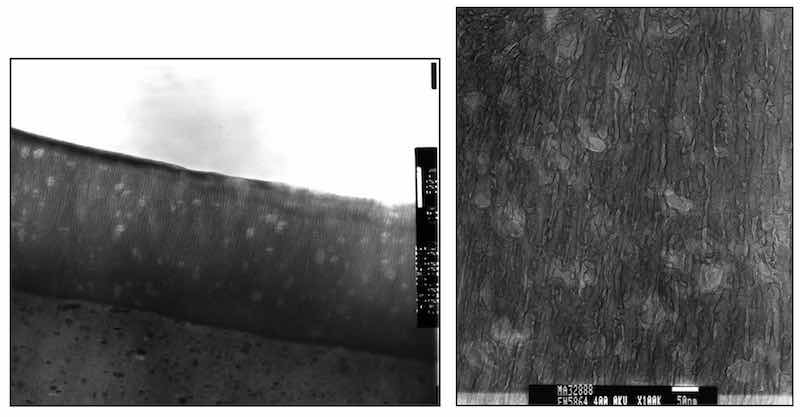 Figure 9: TEM images of the composite anodic oxide finish. Note the appearance of the composite finish microstructure appears as a hybrid between a Type I and Type II finish.