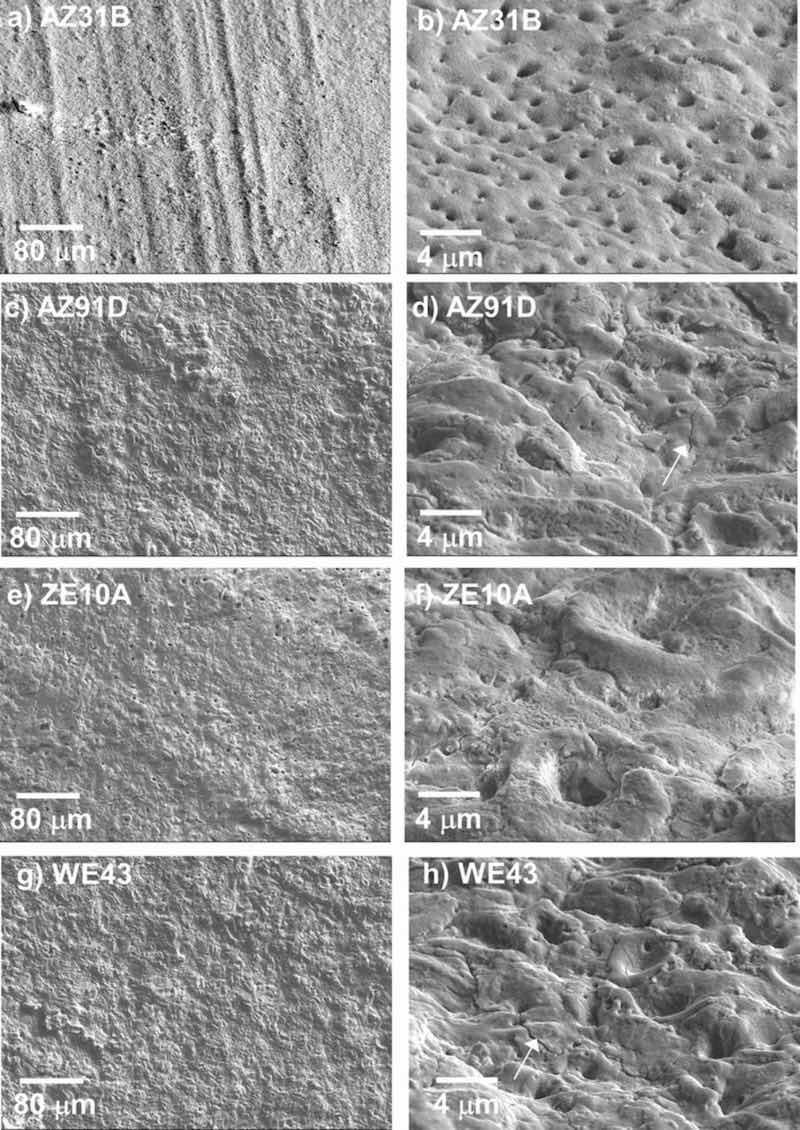 Figure 1. Surface SEM SE images of as-EC coated AZ31B, ZE10A, AZ91D, and WE43 alloys: a), c), e), f) top view; b), d), f), and h) tilted. Arrows mark cracks in the coating surface formed on AZ91D (d) and WE43 (h).
