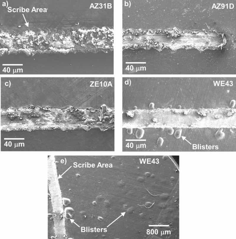 Figure 13. SE mode surface SEM images of scribed regions of EC + E-coated â¼15mm diameter alloy disks after 7 days exposure in 0.1M NaCl (aq) as-coated, scribing, and then 7 additional days exposure in 0.1M NaCl (aq). Extensive blistering was observed to extend from the scribed region across the sample surface for EC + E-coated WE43.