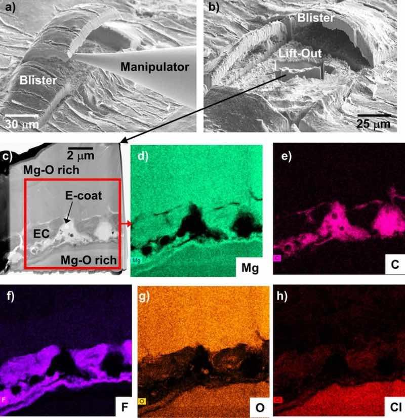 Figure 14. SE mode surface SEM images (a,b) of FIB lift-out of a blister formed on EC + E-coated WE43 after 14 days total exposure in 0.1M NaCl (aq) (7 days with a scribed surface) from Fig. 13. STEM analysis and corresponding elemental maps of the lift-out region in (b) are shown in (c-h).