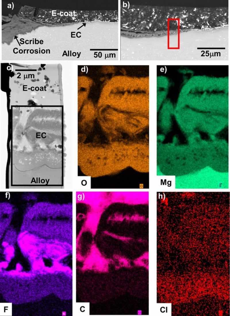 Figure 18. BSE mode cross-section SEM images (a-b) of the scribed regions of the EC + E-coated ZE10A after 15 days total exposure in 0.1M NaCl (aq) (8 days with a scribed surface) from Fig. 15. STEM analysis and corresponding elemental maps of the red box region in (b) are shown in (c-h). Both the EC layer and the underlying alloy were corroded well away from the scribed region interface.