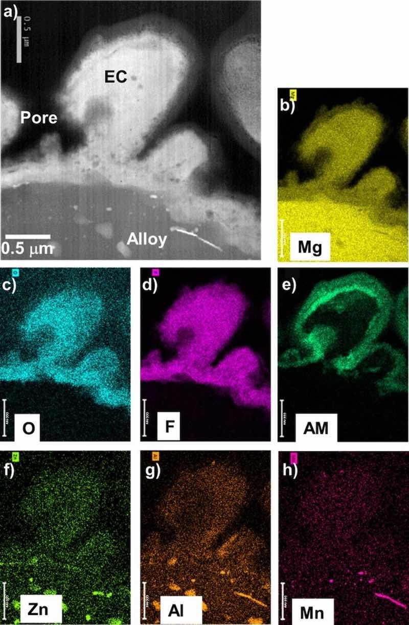 Figure 4. STEM Z-contrast cross-section image (a) and corresponding elemental maps (b-h) for as-EC coated AZ31B showing the coating is Mg-F-O rich, consistent with XRD and XPS data (AM = alkali metal). Second phase Al-, Zn-, Mn- rich particles are evident in the alloy immediately below the coating.