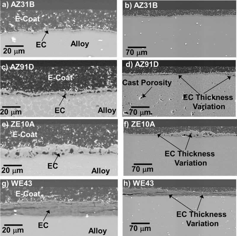 Figure 8. Cross-section SEM BSE images of EC + E-coat AZ31B, AZ91D, ZE10A, and WE43 alloys showing epoxy E-coat thickness on the order of 20â50 Î¼m. Thickness variation is evident in the EC layers, particularly for ZE10A and WE43. Additive ceramic particles (bright contrast in the images) were present throughout the E-coat layer.