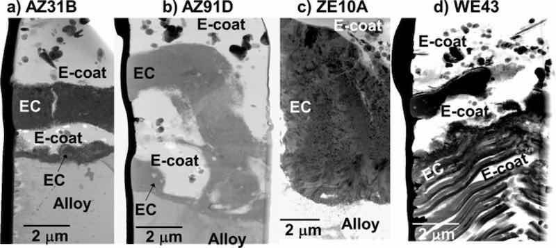 Figure 9. Cross-section STEM BF images of EC + E-coated AZ31B, AZ91D, ZE10A, and WE43 alloys showing penetration of the E-coat throughout the porous EC layer structures.