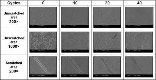 Figure 3 - SEM observation results (basecoat only).