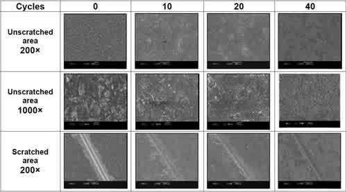 Figure 4 - SEM observation results (both basecoat and topcoat).
