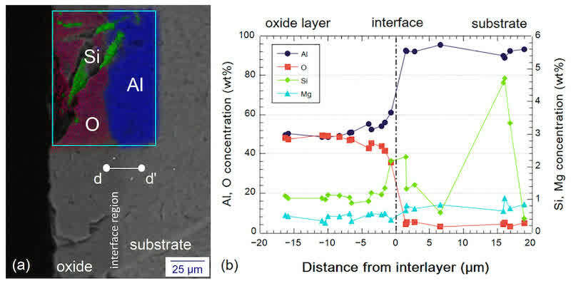 Figure 7. EDS analysis of the anodized M2 sample: (a) cross-sectional SEM/EDS image showing the region near the substrate–oxide interface and the d–d′ line used for the EDS line scan; (b) EDS line scan measured along d–d′, showing the elemental distribution from the oxide layer, across the substrate–oxide interface, and into the substrate. Al and O concentrations are plotted on the left axis, while Si and Mg concentrations are plotted on the right axis. The dashed vertical line at d = 0 indicates the substrate–oxide interface; negative distances correspond to the oxide-layer side, while positive distances correspond to the substrate side.