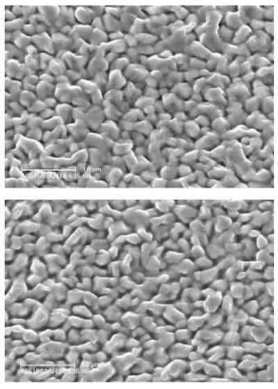 Figure 5: SEM image of electrodeposit surface after a potentiodynamic scan from OCP to –800 mV SCE.  Figure 6: SEM image of electrodeposit surface after a potentiodynamic scan from OCP to –700 mV SCE.