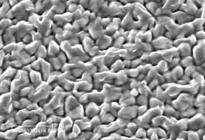 Figure 7: SEM image of electrodeposit surface after a potentiodynamic scan from OCP to –600 mV SCE.
