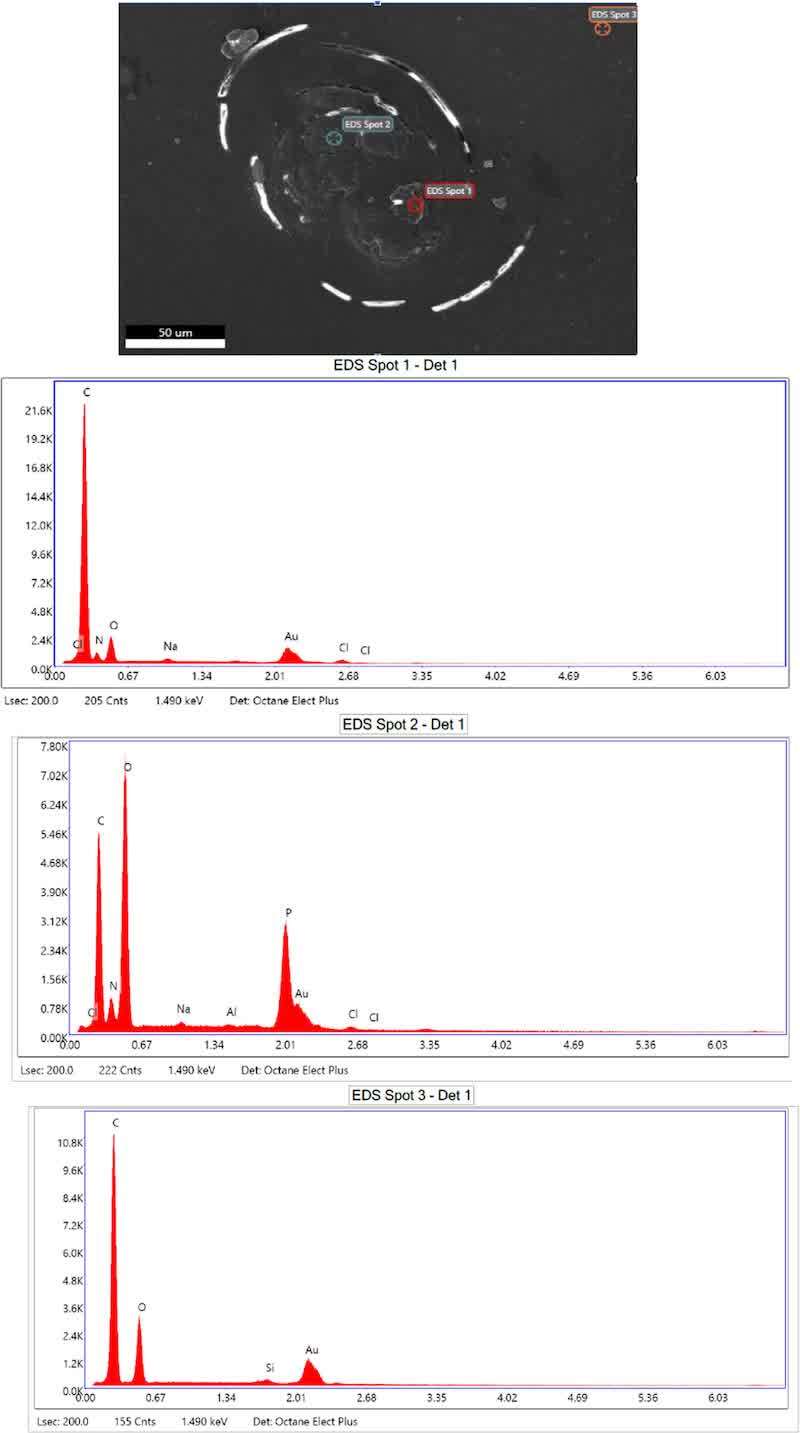 Figure 12. SEM/EDS microscopy image of the powder coating surface of L_AR/3%CH/MMT.