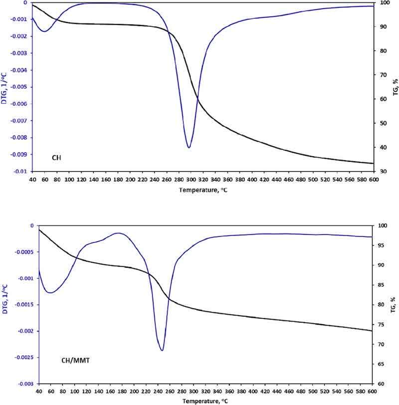 Figure 2. TGA curves of pure chitosan (CH) and its intercalation product in montmorillonite (CH/MMT).