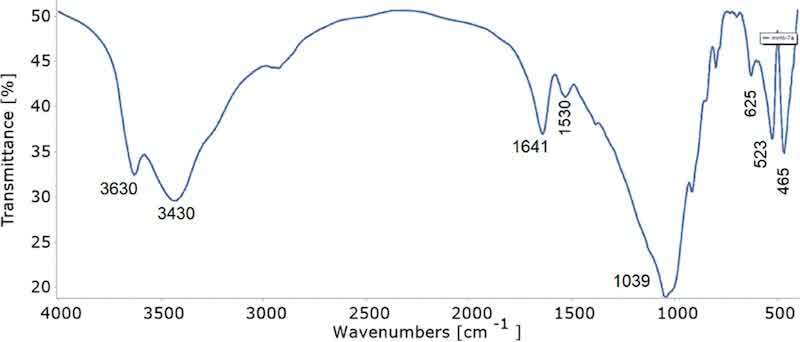 Figure 3. FTIR spectrum of the CH/MMT intercalation compound.