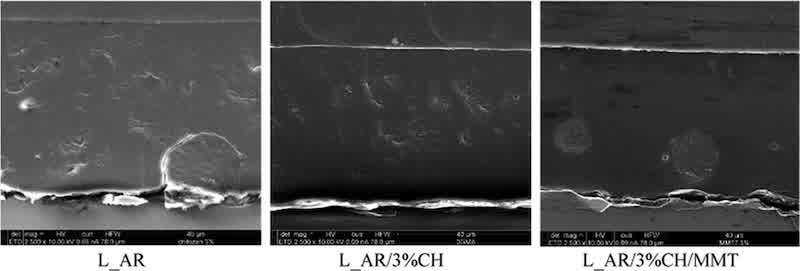 Figure 7. SEM microscopy images of powder coatings L_AR, L_AR/3%CH, and L_AR/3%CH/MMT.
