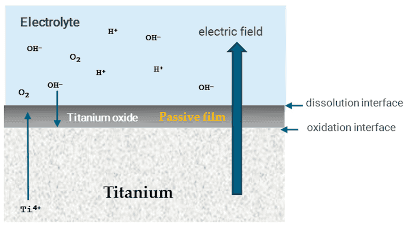 Figure 7. Anodization mechanism with the respective chemical reactions and the diffusion process.