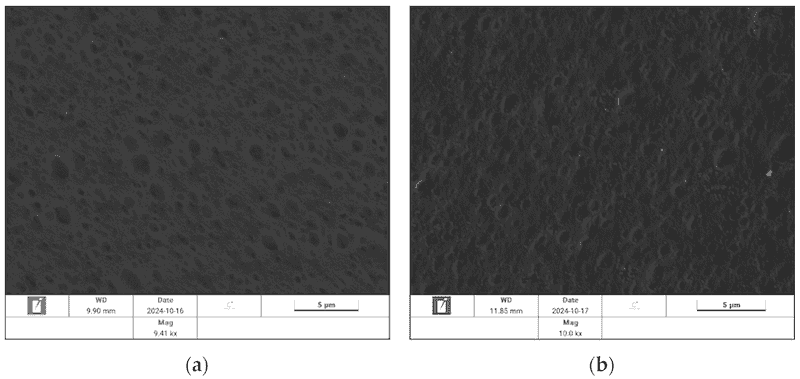 Figure 9. SEM/EDS analysis of (a) activated ABS sample (before the reduction) and (b) activated and reduced ABS (right after reduction).