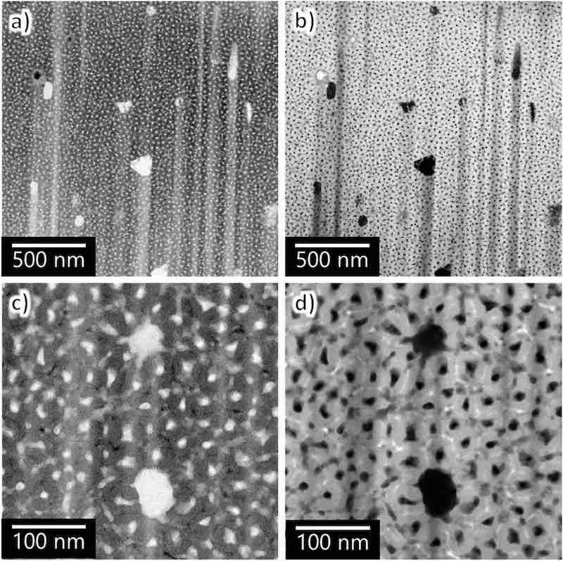 Fig. 9. TEM images of the horizontal cross-section of AA7075â€“T6 anodized in sulfuric acid (1.5 mol dmâˆ’3) for 60 s: (a, c) BF and (b, d) HAADF images. (c, d) High-magnification images.