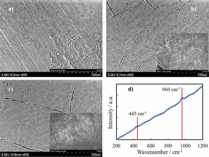 Figure 10. Scanning electron micrographs showing the morphologies of anodic coatings, after annealing, formed on AZ31 samples after (a) 3 days, (b) 7 days, and (c) 14 days of immersion in HS. (d) Raman spectrum related to the anodic coating after 14 days of immersion in HS.