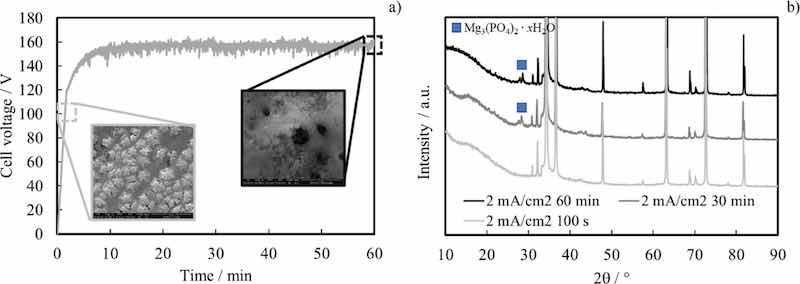 Figure 2. (a) Dependence of cell voltage on time during AZ31 anodizing at 2 mA cmâ2 for 60 min at 160Â°C. Inset: SEM micrographs related to samples anodized for 100 s and 60 min. (b) XRD patterns related to samples anodized at 2 mA cmâ2 for 100 s, 30 min, and 60 min.