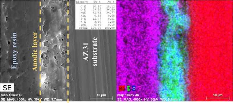 Figure 7. SEM cross section of the AZ31 sample anodized in the optimized anodizing conditions with the associated EDS map of the elements contained in the anodic coating.
