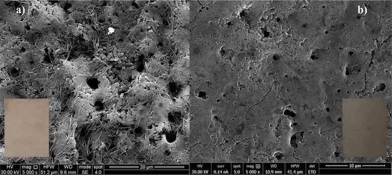 Figure 8. Scanning electron micrographs showing the morphologies of anodic coatings formed on AZ31 samples (a) before and (b) after thermal treatment. Inset: Surface of the anodic coatings.