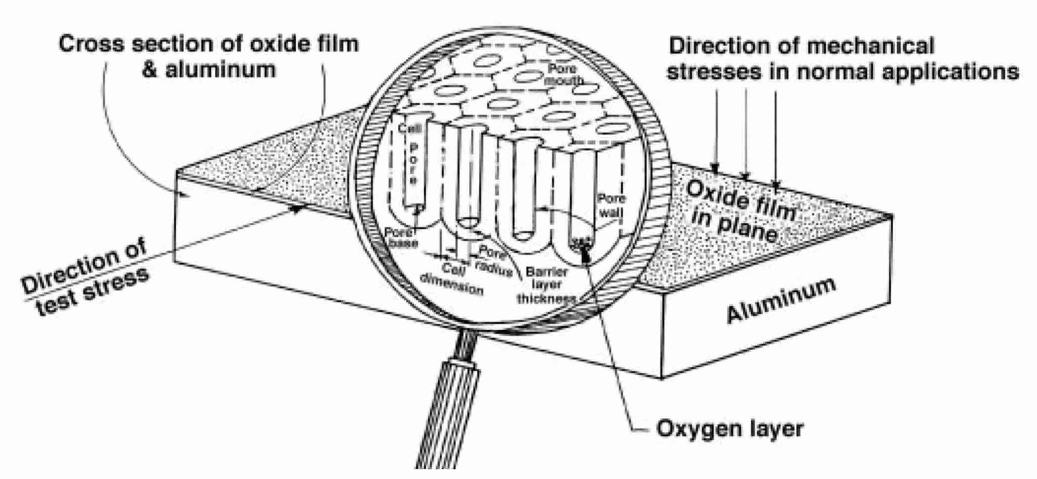 Fig. 2â€”Pore structure of oxide films anodized on aluminum in water solutions of strong acids (sulfuric, oxalic, etc.).