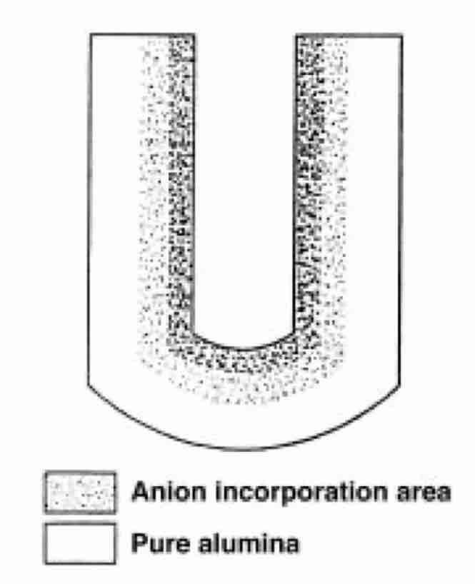 Fig. 3â€”Contamination of pores during anodizing.