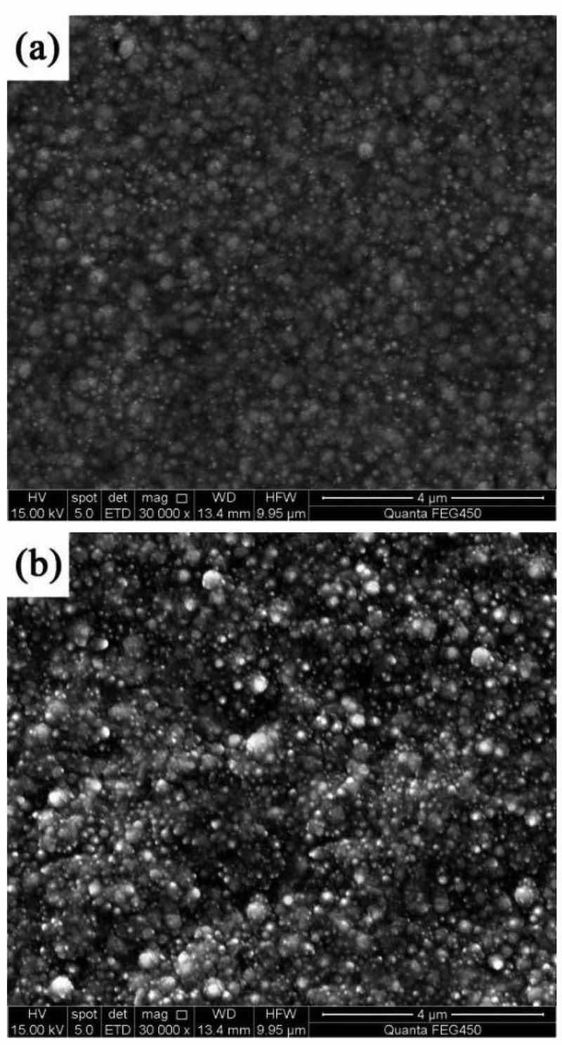 Figure 2: Amplified SEM pictures of NCSTCCs obtained at different duty cycles: (a) 50% and (b) 70%.