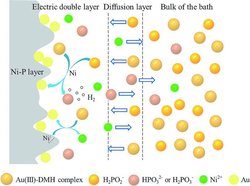 Fig. 13 Reaction diagrams on Niâ€“P layer in the electroless gold plating bath.