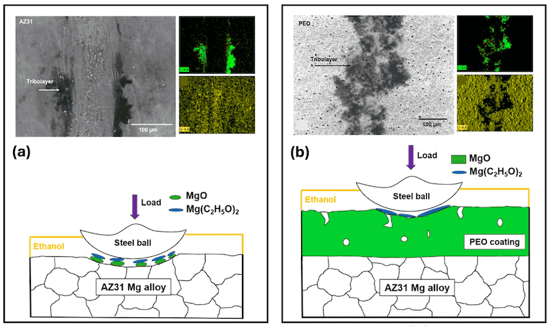Figure 5. Tribological mechanisms and SEM images of AZ31 Mg alloy lubricated with ethanol and MgO PEO layer lubricated with ethanol. (a) An ethanol-lubricated Mg alloy surface with a steel ball counterface. (b) PEO-coated Mg alloy with a steel ball counterface contacting tribofilm. Reproduced from [39], Lubricants MDPI, 2020.