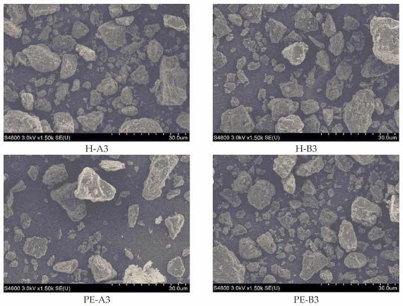 Figure 5. SEM micrographs of powder paints.
