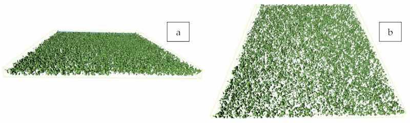 Figure 2. Micro-CT images (a,b), at two angles of view, of coatings prepared from the formula Znâ80%-PC. The images represent projections of 3D tomographs of a specimen having a square upper surface with sides of 750 Âµm.