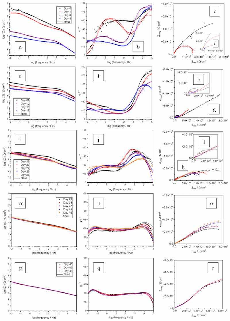 Figure 9. Original and fitted EIS spectra of a coating prepared from the formula Znâ80%-PC. (aâd) Days 0â8; (eâh) Days 9â17; (iâl) Days 18â28; (mâo) Days 29â45; (pâr) Days 46â48.