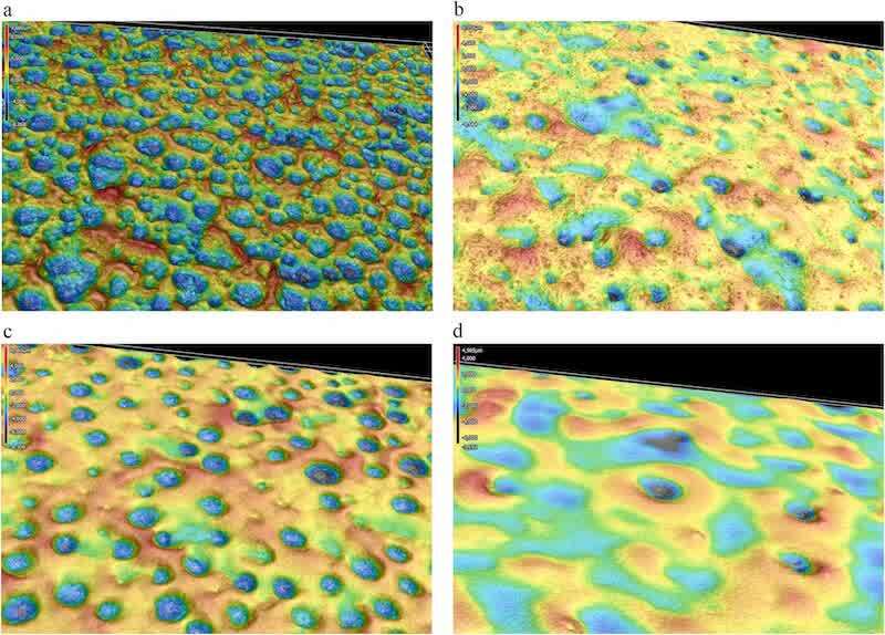 Fig. 19. Topography images of Aluminum panels coated with CG800RE: (a) phosphated and (b) Oxsilan pretreated; and for EPIC200RX: (c) phosphated and (d) Oxsilan pretreated.