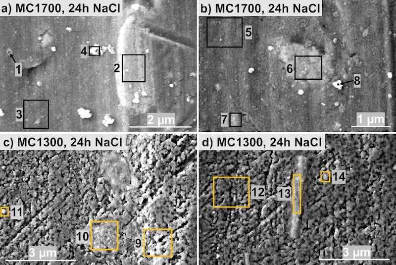 Figure 9. SEM SE images of (a, b) MC1700 and (c, d) MC1300 coated CP-AA3003. The conversion times were 10 min for MC1700 and 7 min for MC1300. After deposition, samples were immersed for 24 h in 3.5 wt% NaCl. BSE images are given in Figs. S7 and S8. EDS analysis was made at the enumerated sites, and the results are given in Table VI.